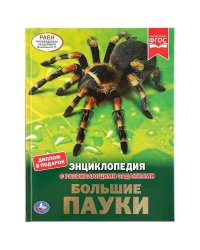 "УМКА". БОЛЬШИЕ ПАУКИ (ЭНЦИКЛОПЕДИЯ А4 С РАЗВИВАЮЩИМИ ЗАДАНИЯМИ). ТВЕРДЫЙ ПЕРЕПЛЕТ в кор.15шт