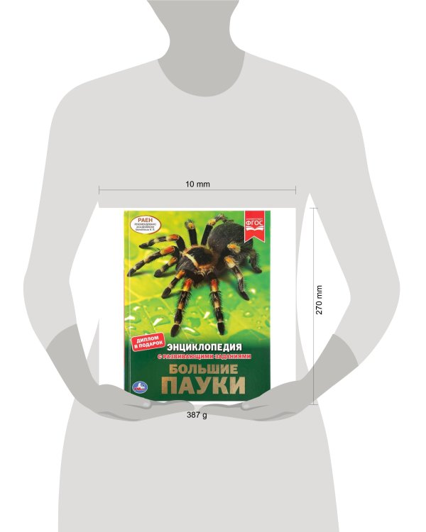 "УМКА". БОЛЬШИЕ ПАУКИ (ЭНЦИКЛОПЕДИЯ А4 С РАЗВИВАЮЩИМИ ЗАДАНИЯМИ). ТВЕРДЫЙ ПЕРЕПЛЕТ в кор.15шт
