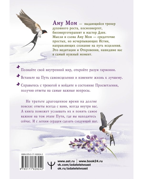 Энергии Дзен для самоисцеления, созидания и равновесия. Путь в Страну Мудрости