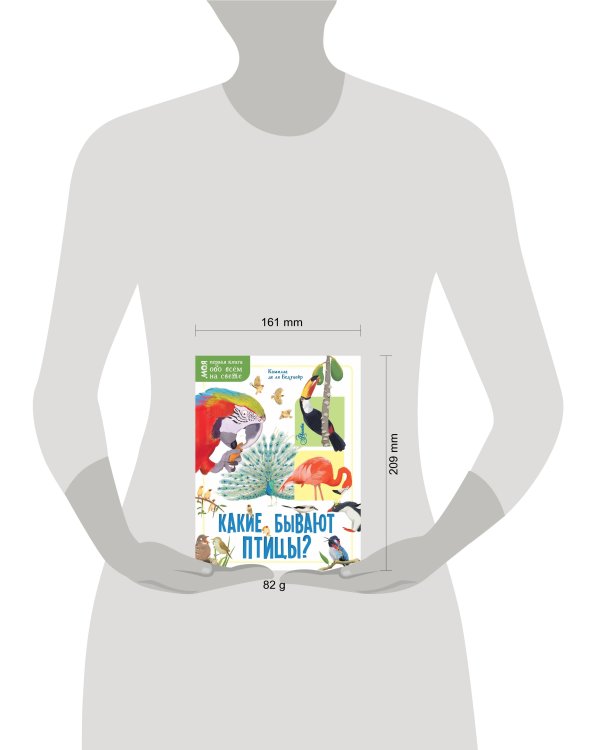 Какие бывают птицы?