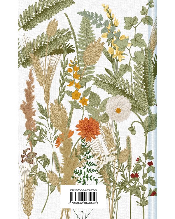 Новые Авонлейские хроники