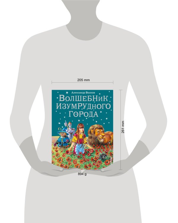 Волшебник Изумрудного города (ил. В. Канивца) (#1)