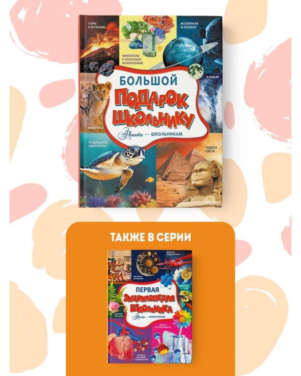 Большой подарок школьнику