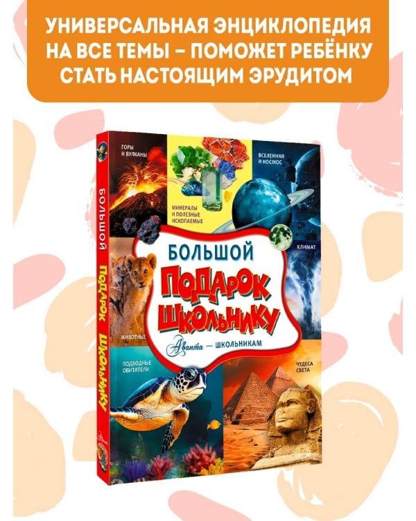 Большой подарок школьнику