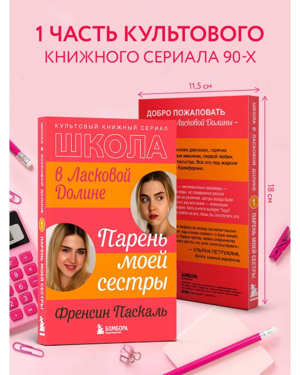 Школа в Ласковой Долине. Парень моей сестры (книга №1)