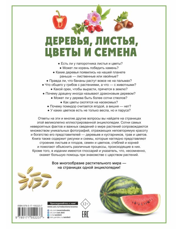 Деревья, листья, цветы и семена