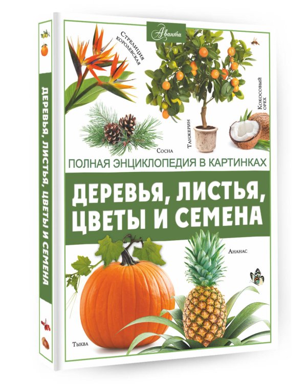 Деревья, листья, цветы и семена