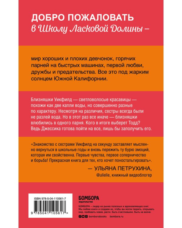 Школа в Ласковой Долине. Парень моей сестры (книга №1)