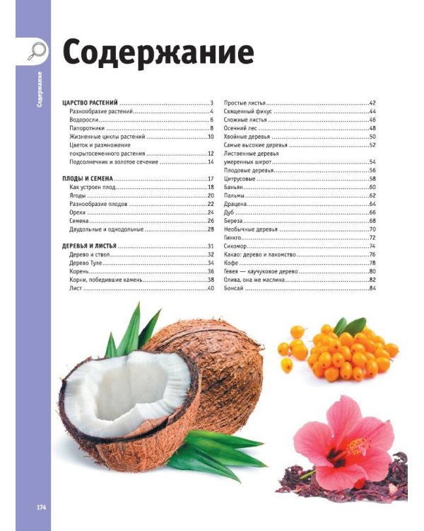 Деревья, листья, цветы и семена