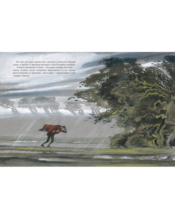 Звёздный мальчик. Сказки (ил. Н. Гольц)