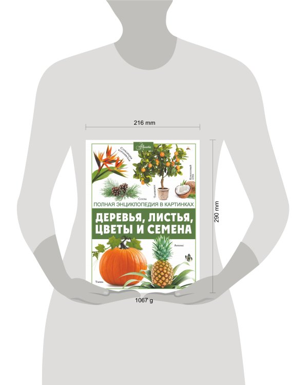 Деревья, листья, цветы и семена