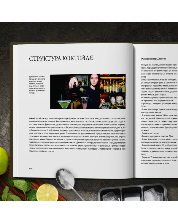 Руководство бармена. История, техники, рецепты