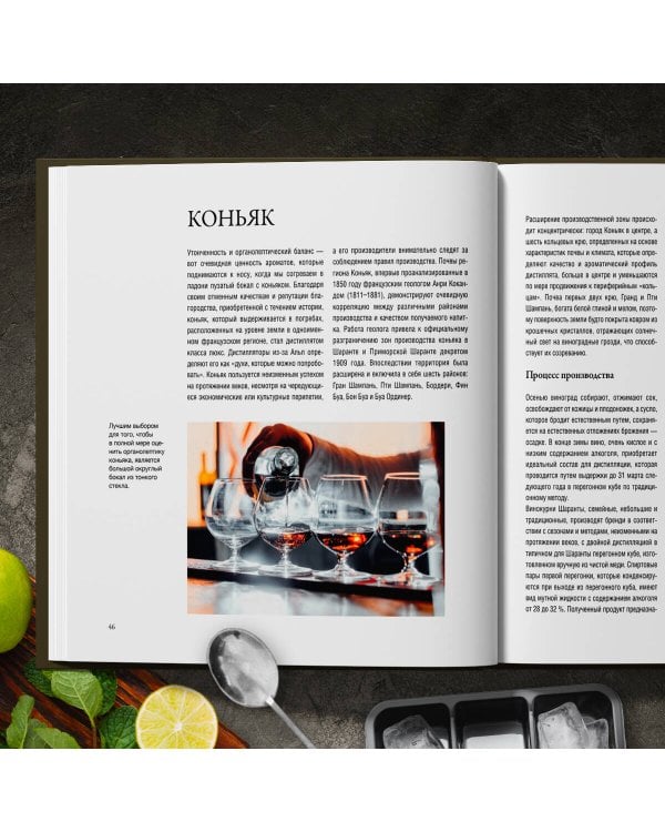 Руководство бармена. История, техники, рецепты