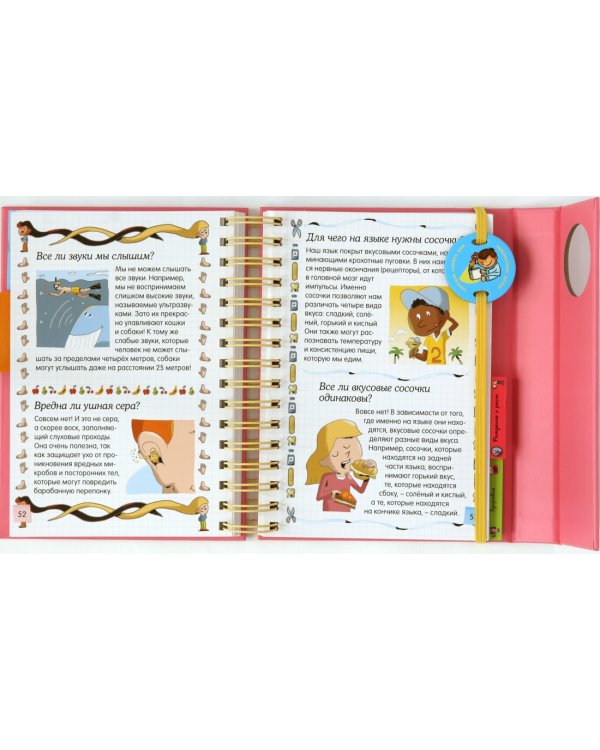 Тело человека