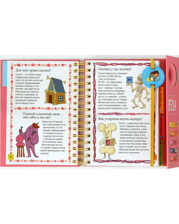 Тело человека