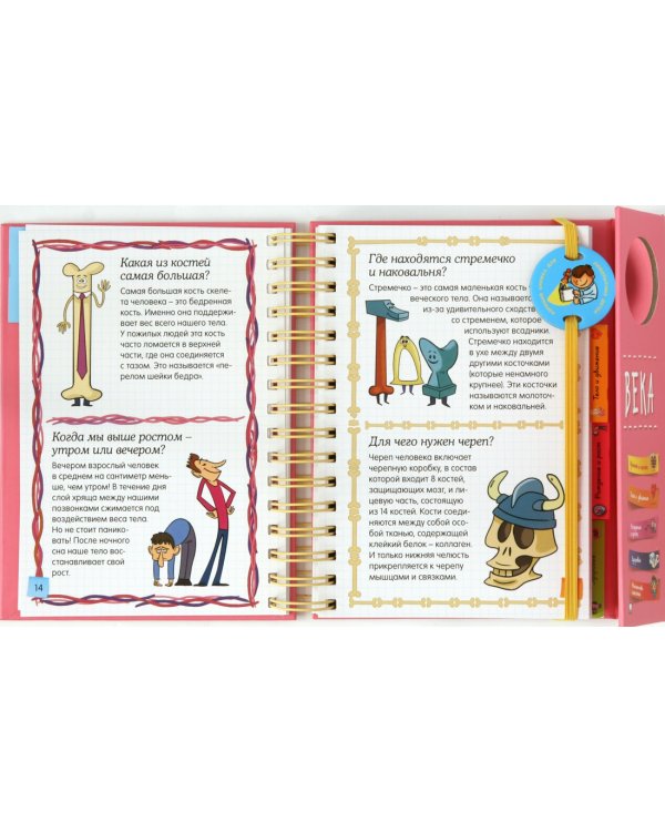 Тело человека