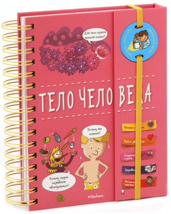 Тело человека