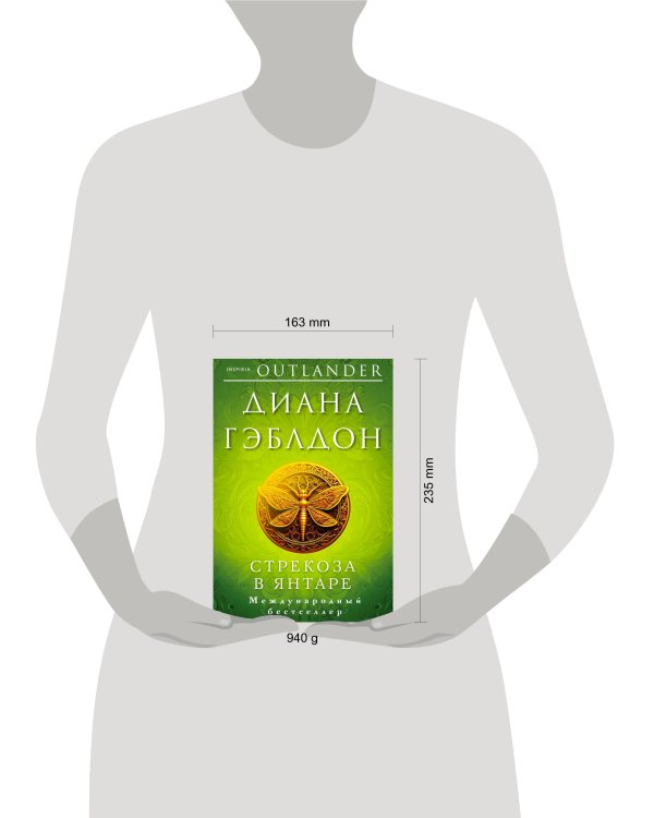 Стрекоза в янтаре