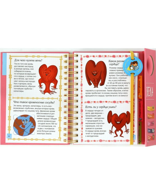 Тело человека