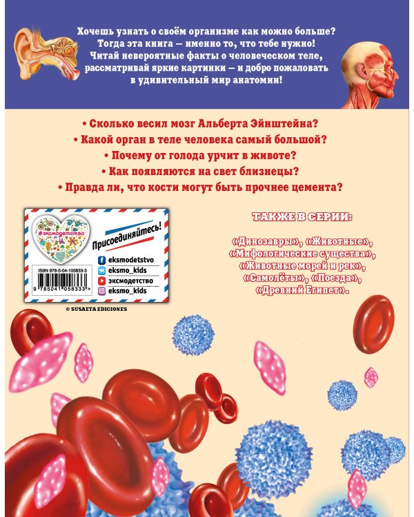 Тело человека