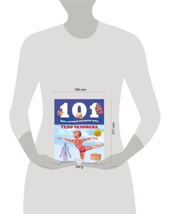 Тело человека