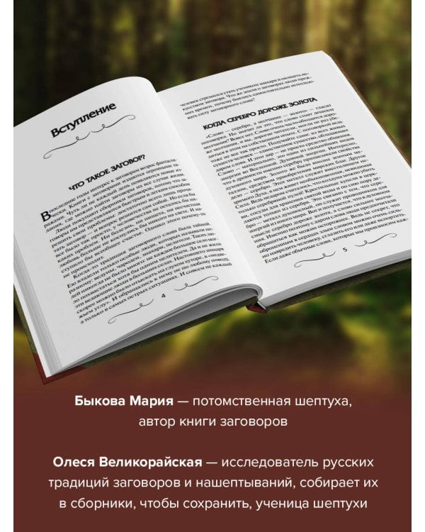 Книга старинных нашептываний. Как просить, чтобы дано было. Сильные заговоры бабки-шептухи на деньги, здоровье, удачу, любовь, счастье