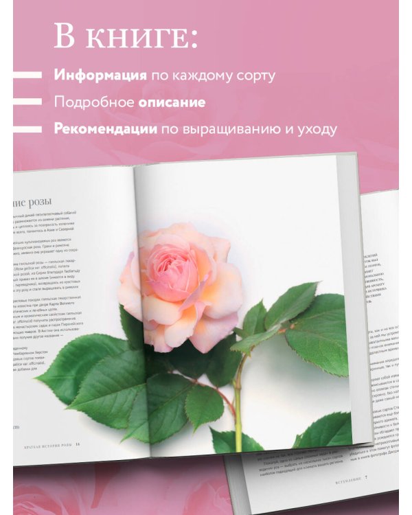 Розы. Восхитительные цветы для дома и сада