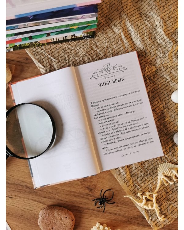 Денискины рассказы (Внеклассное чтение)