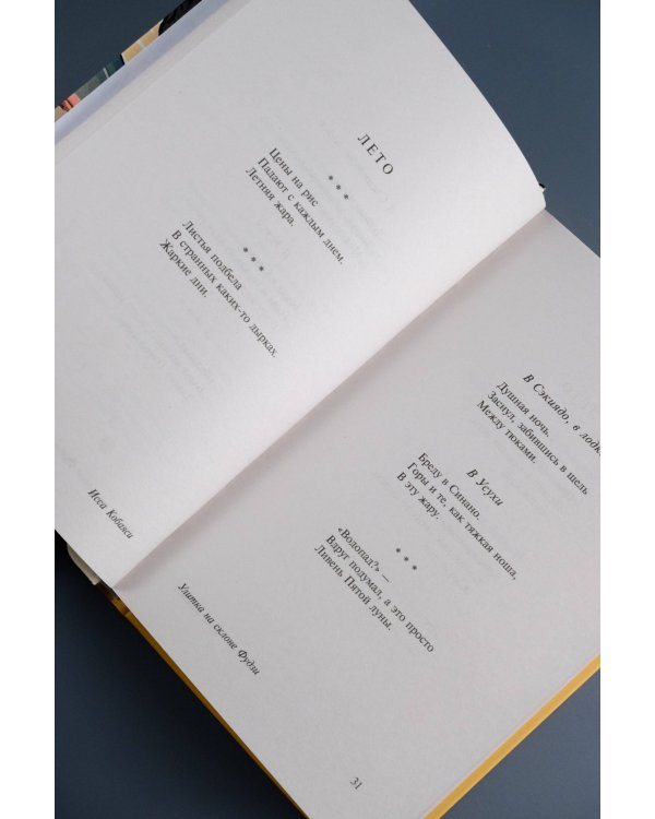 Улитка на склоне Фудзи