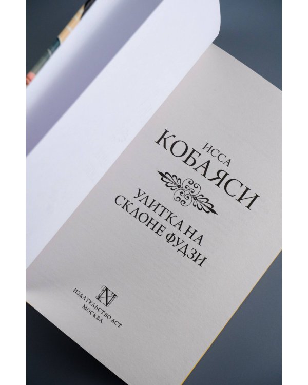 Улитка на склоне Фудзи