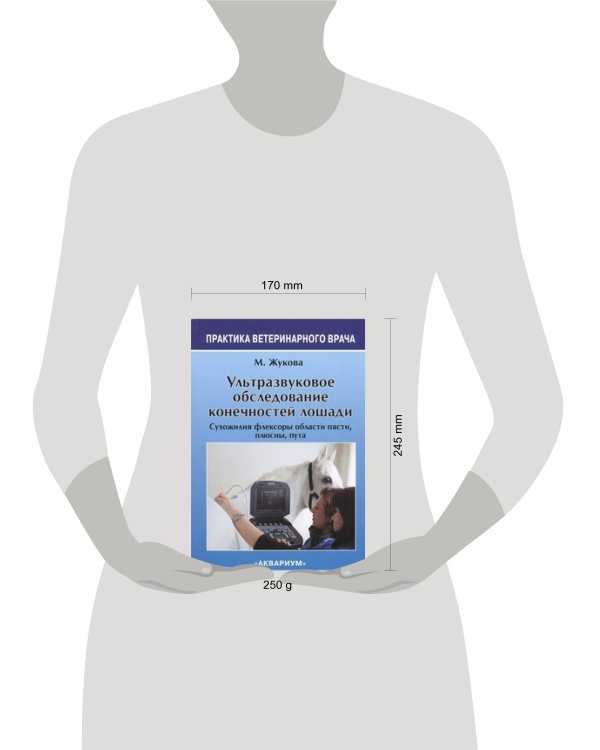 Ультразвуковое Обследование конечностей лошади