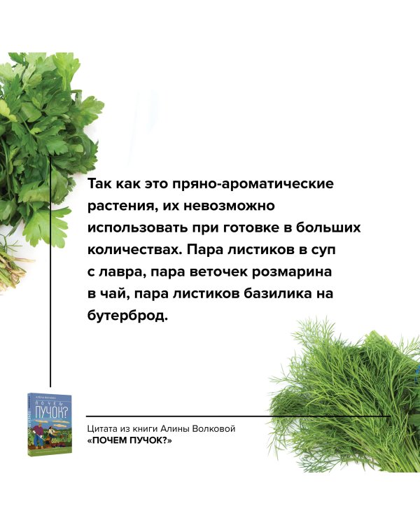 Почем пучок. Как выращивать свою зелень