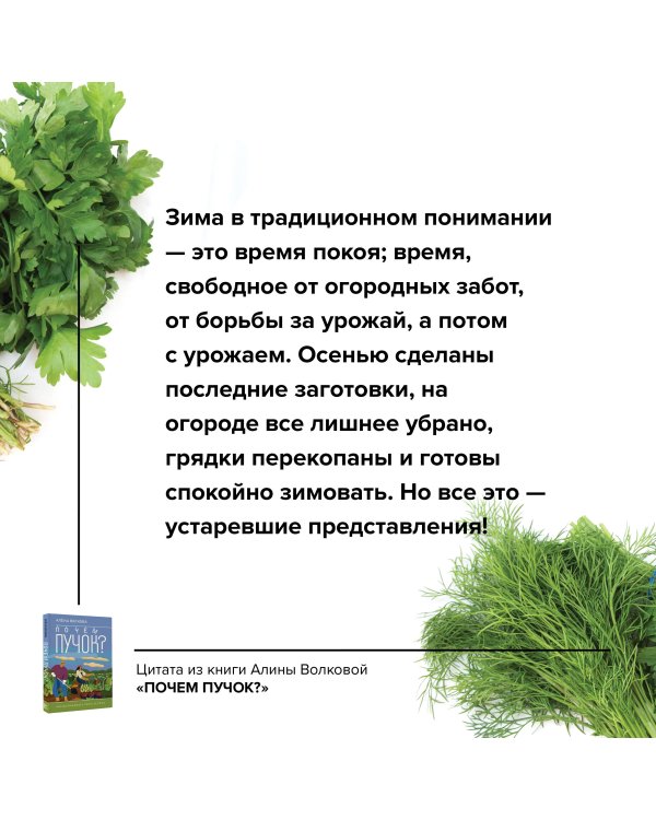 Почем пучок. Как выращивать свою зелень