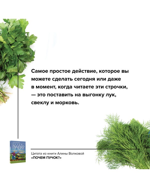 Почем пучок. Как выращивать свою зелень