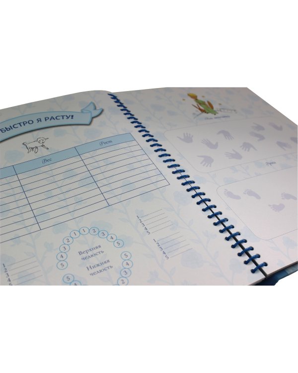 Маленький принц. Альбом нашего малыша