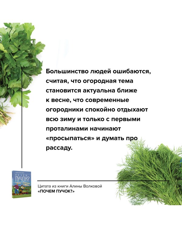 Почем пучок. Как выращивать свою зелень