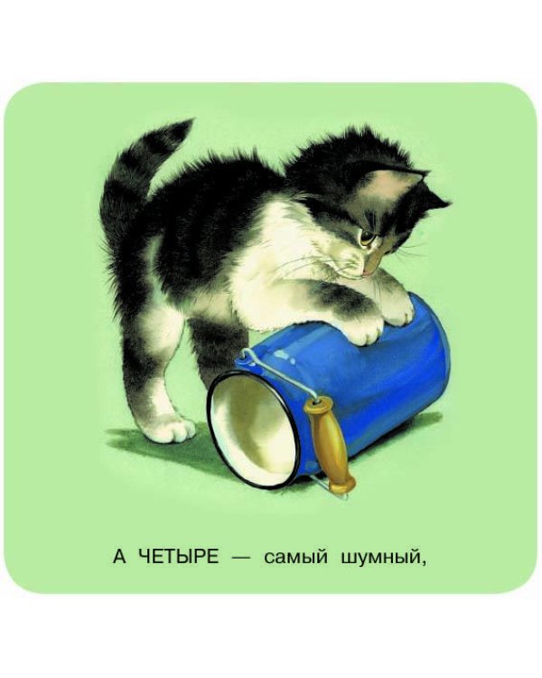 Котята