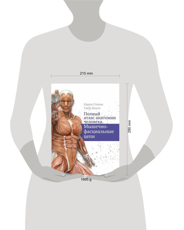 Полный атлас анатомии человека. Мышечно-фасциальные цепи