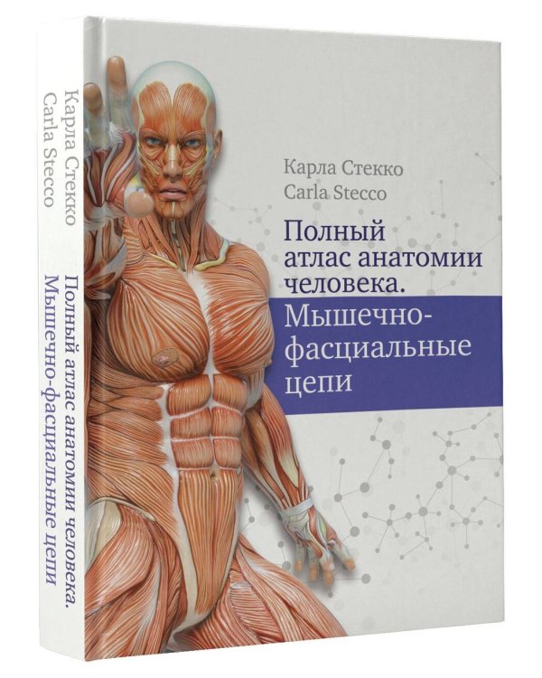 Полный атлас анатомии человека. Мышечно-фасциальные цепи