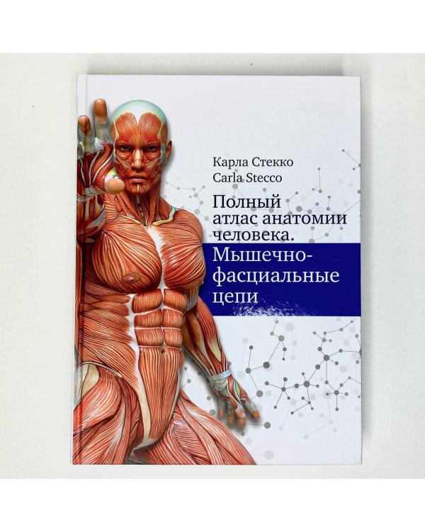 Полный атлас анатомии человека. Мышечно-фасциальные цепи
