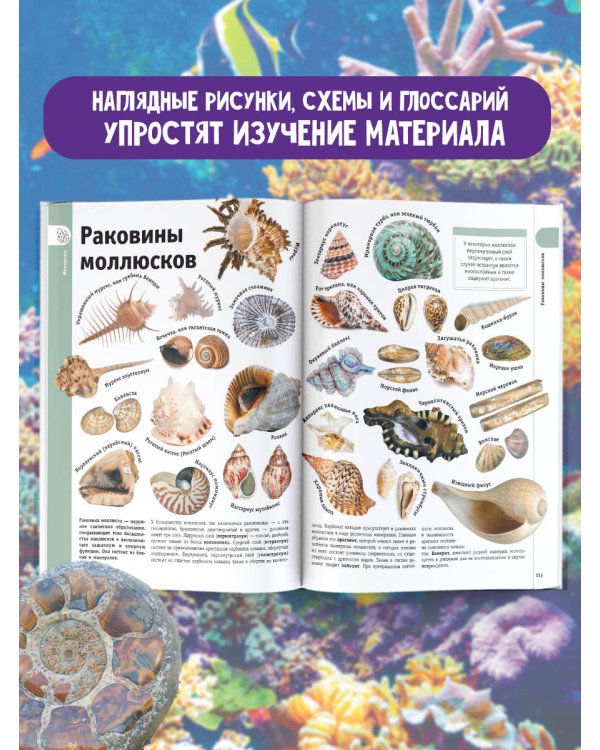 Минералы и драгоценные камни