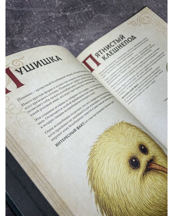 Магический бестиарий. Волшебные существа из Гарри Поттера