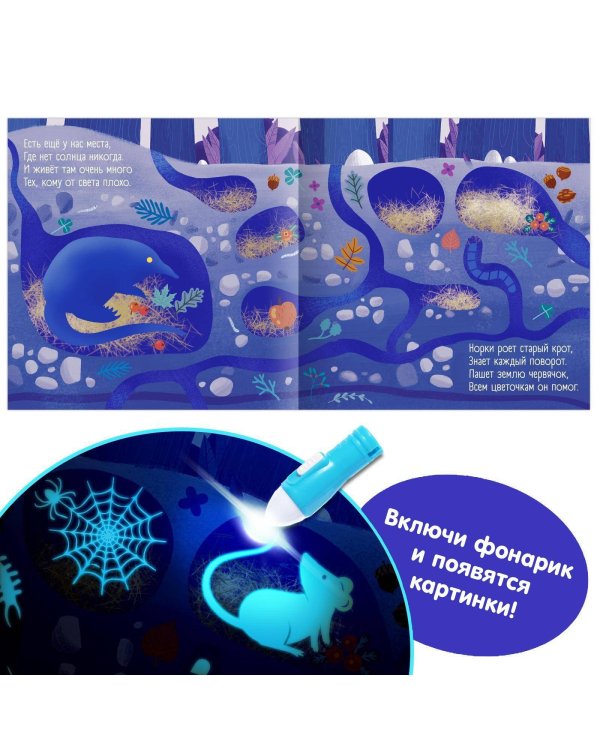 Книга с фонариком «Что происходит в темноте?», 24 стр.
