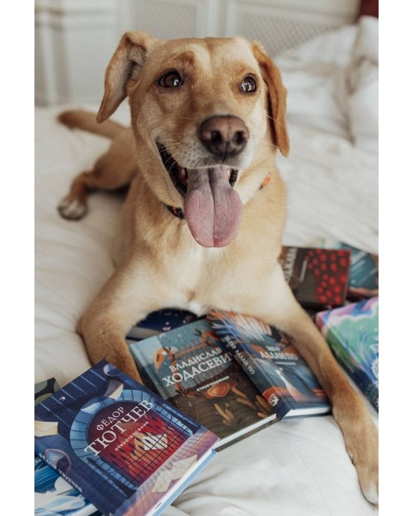 Стихотворения