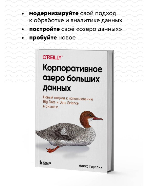 Корпоративное озеро больших данных. Новый подход к использованию Big Data и Data Science в бизнесе