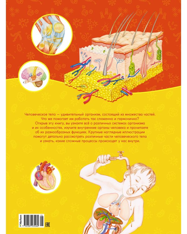 Первый атлас анатомии человека