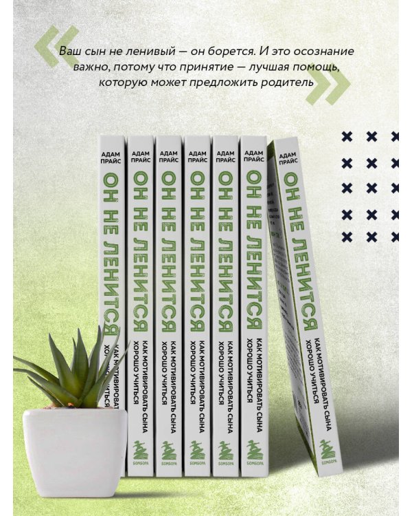 Он не ленится. Как мотивировать сына хорошо учиться