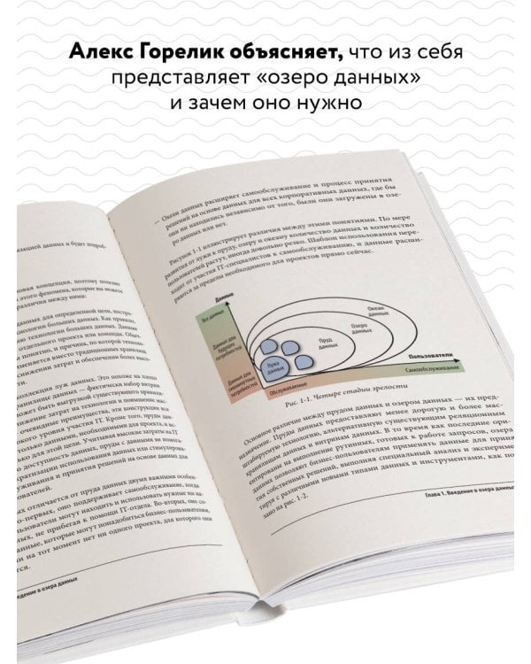 Корпоративное озеро больших данных. Новый подход к использованию Big Data и Data Science в бизнесе