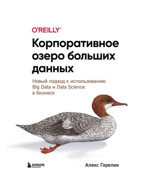 Корпоративное озеро больших данных. Новый подход к использованию Big Data и Data Science в бизнесе