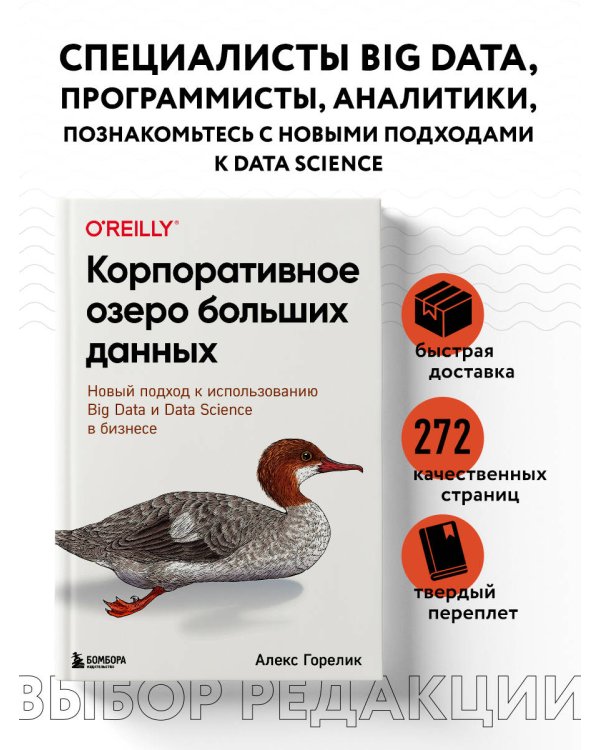 Корпоративное озеро больших данных. Новый подход к использованию Big Data и Data Science в бизнесе